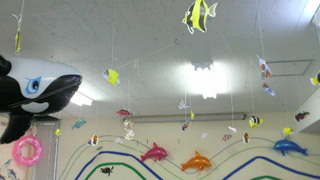 2010071512390000.jpg