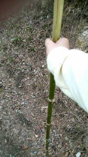 2011050314030000.jpg