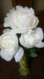 2011052304120000.jpg