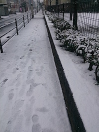 DSC_0205.jpg