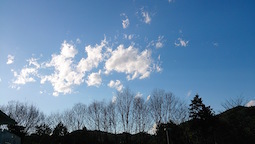 DSC_0315.jpg