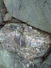 DSC_1819.jpg