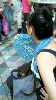 2010091916440000.jpg