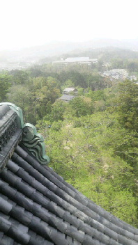 2011050214190000.jpg