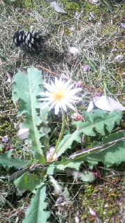 2011050214550000.jpg