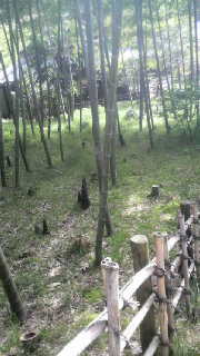 2011050215330000.jpg