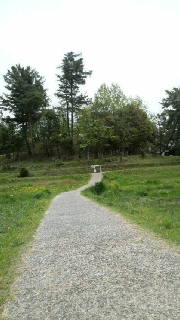 2011050311460000.jpg