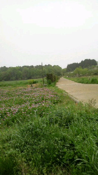 2011050312130000.jpg