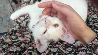 2010081615300000.jpg