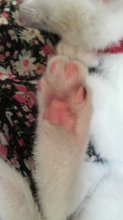 2010081615570000.jpg