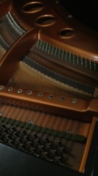 2011062417540000.jpg