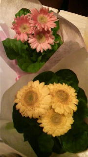 2011083121340000.jpg
